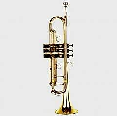 Fox TP2000-G Gold Trompet