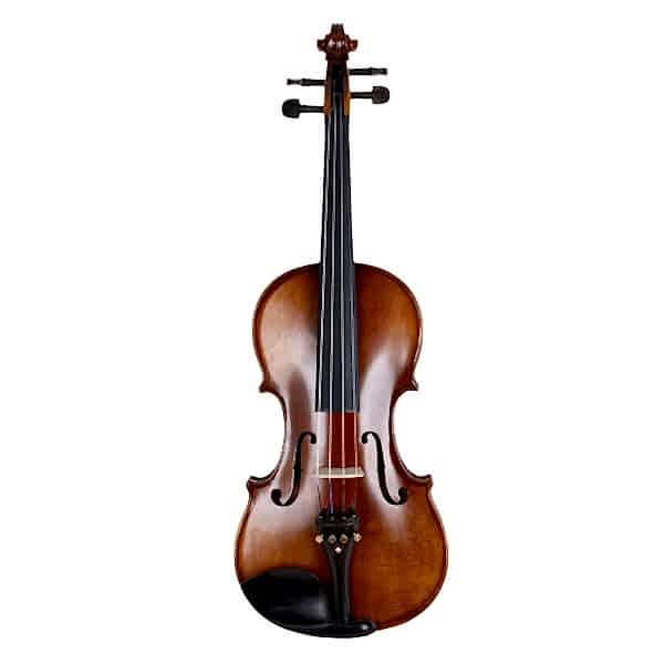 VANETTA VL-5 / 4/4 Masif Keman (Abanoz Burgu ve Aksam)
