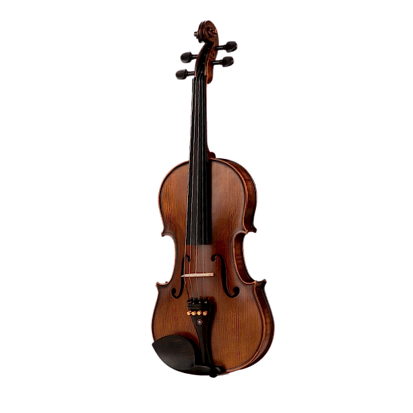 VANETTA VL-4 / 4/4 Masif Keman (Abanoz Kulak ve Aksam)