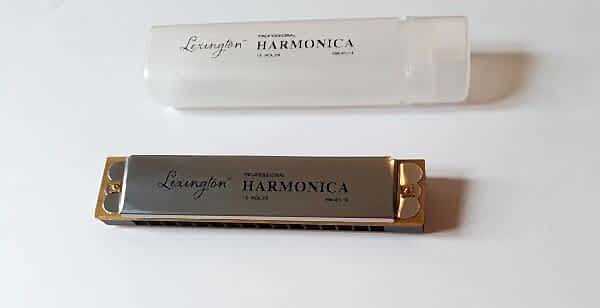 MIZIKA 16 DELİK  PROFESSIONAL HARMONICA