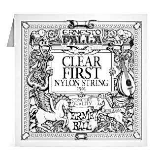ERNIE BALL P01501 Ernesto Palla Şeffaf Naylon Klasik Mi teli