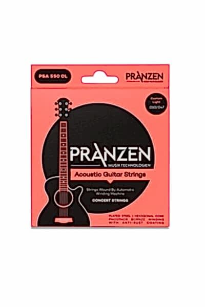 Pranzen PSA550CL Customlight Akustik Gitar Teli