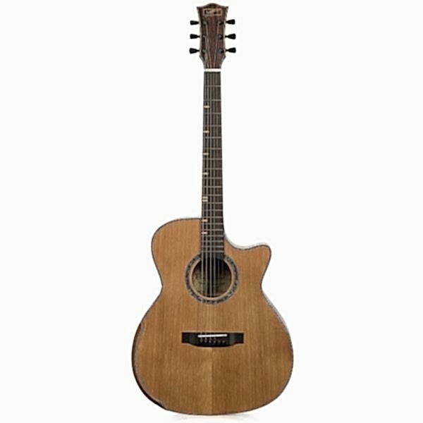 Zoppran ACZP900 Akustik Gitar