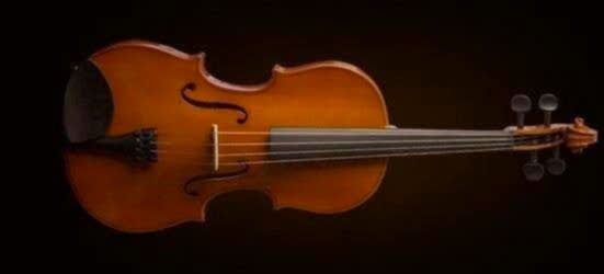 VALENCIA VA16038 VİYOLA KUTULU 15'' (38cm)