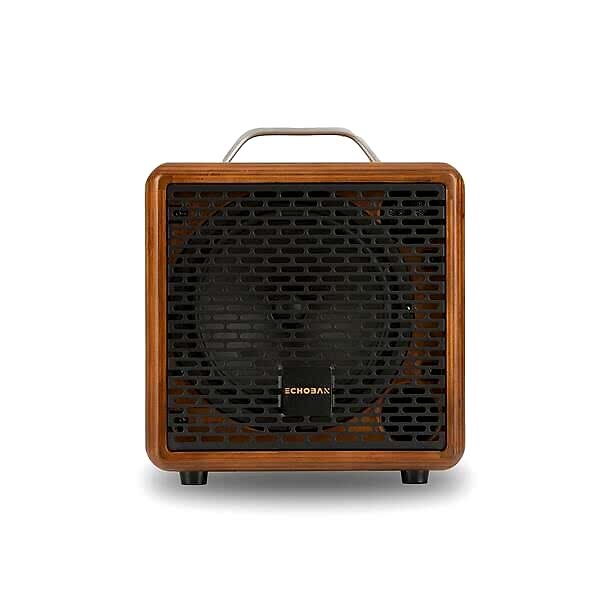 Echoban AT4 40 Watt Portable Amfi