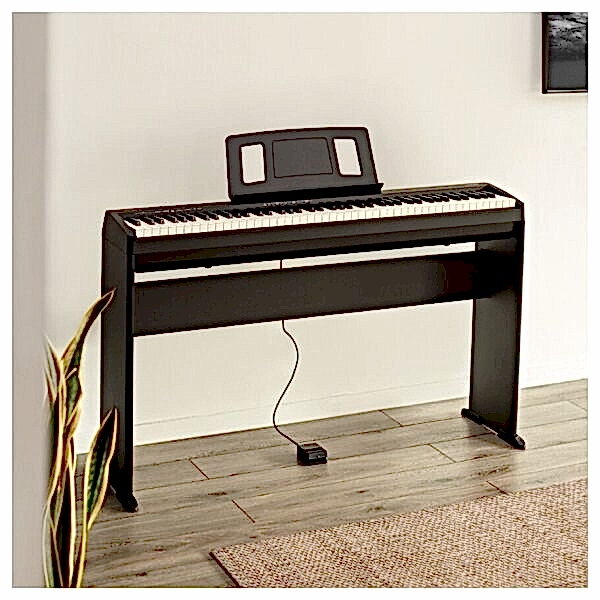 ROLAND FP-10-BK Dijital Piyano Seti (Stand Dahil)