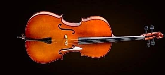 VALENCIA CE400F12 CELLO, FRENCH STYLE, 1/2