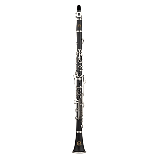 SILVER SCL-02G G (Sol) Klarnet